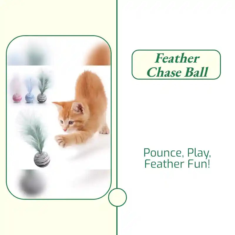Feather Chase Ball by@Outfy
